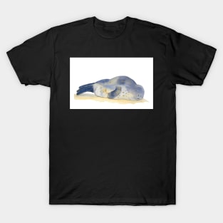 Seal with Watercolor and Gold T-Shirt